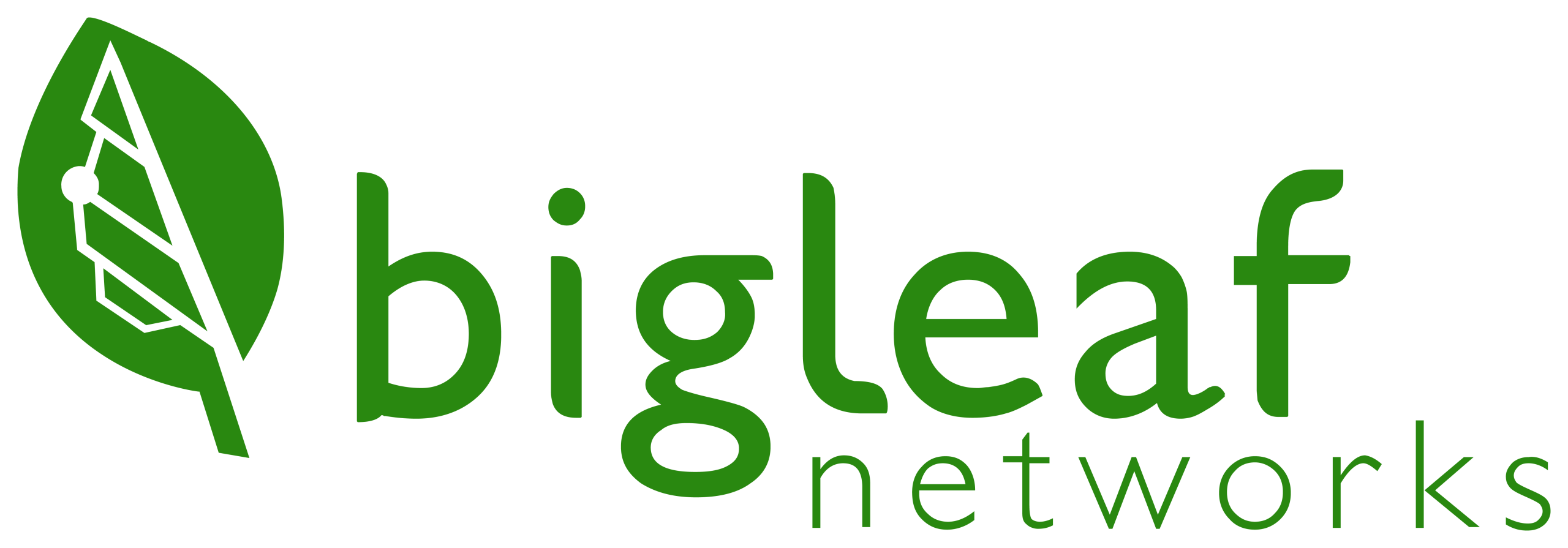 Bigleaf-Logo